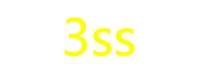 3ss